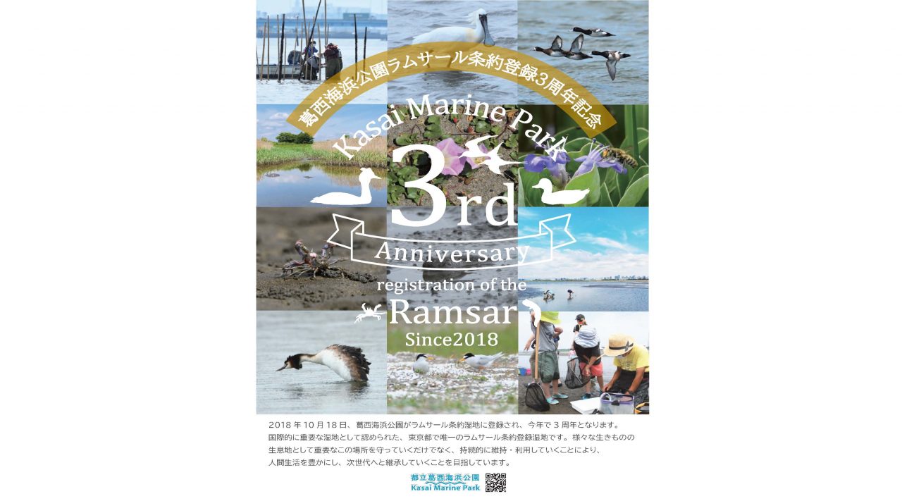 【終了】葛西海浜公園ラムサール条約３周年記念イベント