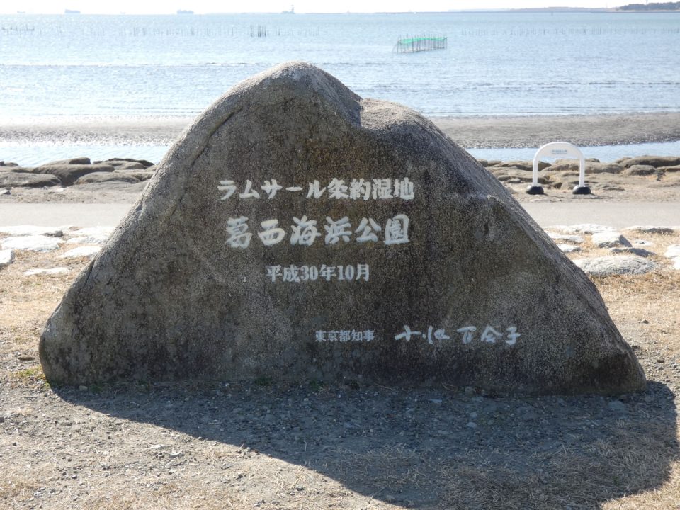 石碑
ラムサール条約湿地
葛西海浜公園
平成30年10月
東京都知事　小池百合子