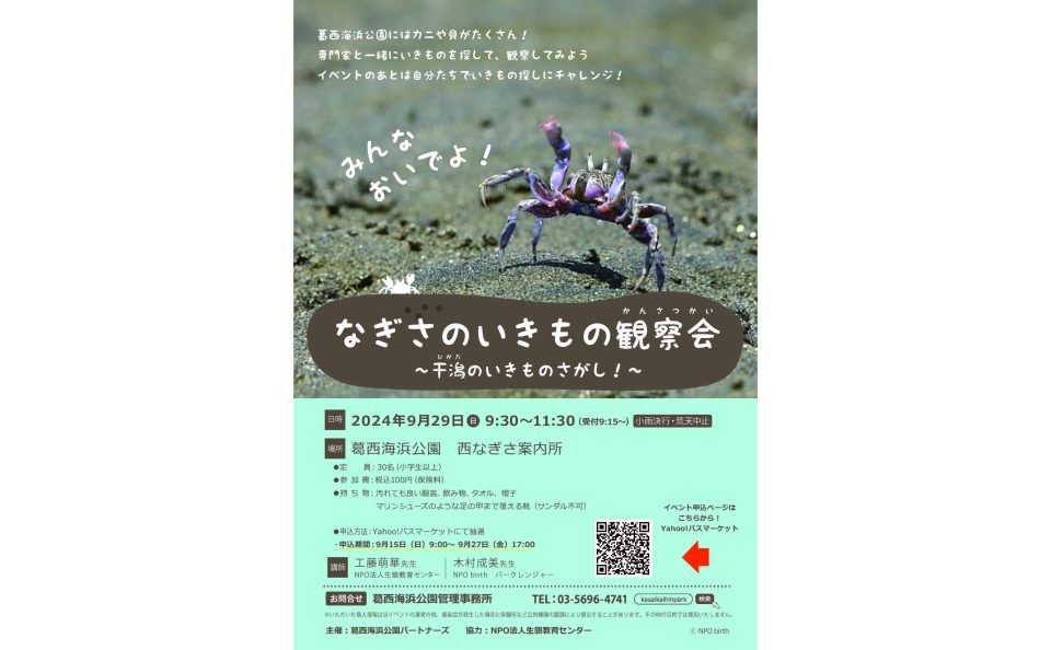 【終了】なぎさのいきもの観察会～干潟のいきもの探し！～