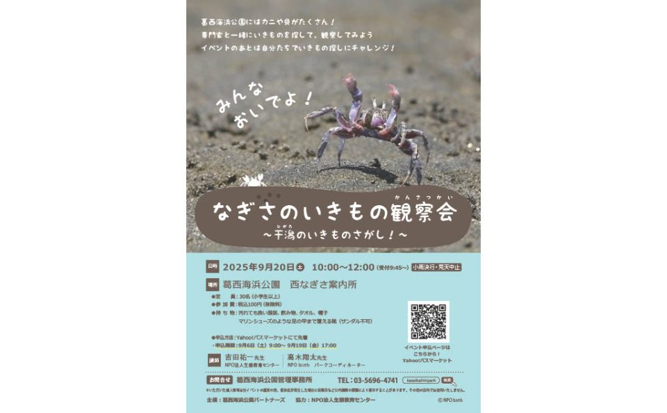 なぎさのいきもの観察会~干潟のいきもの探し!~