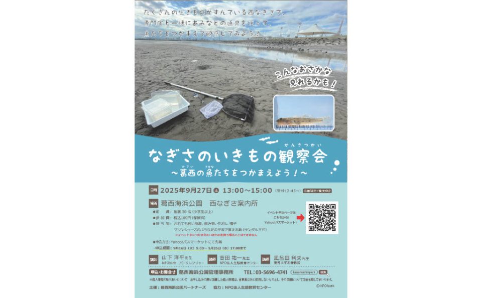 なぎさのいきもの観察会　～葛西の魚たちをつかまえよう！～