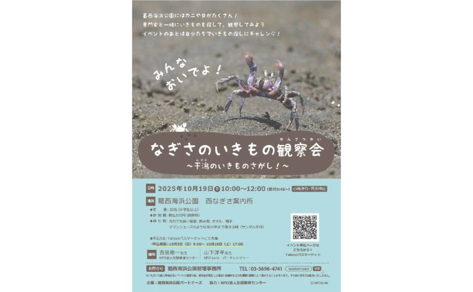 【受付中止 3月に延期いたします。】なぎさのいきもの観察会~干潟のいきもの探し!~