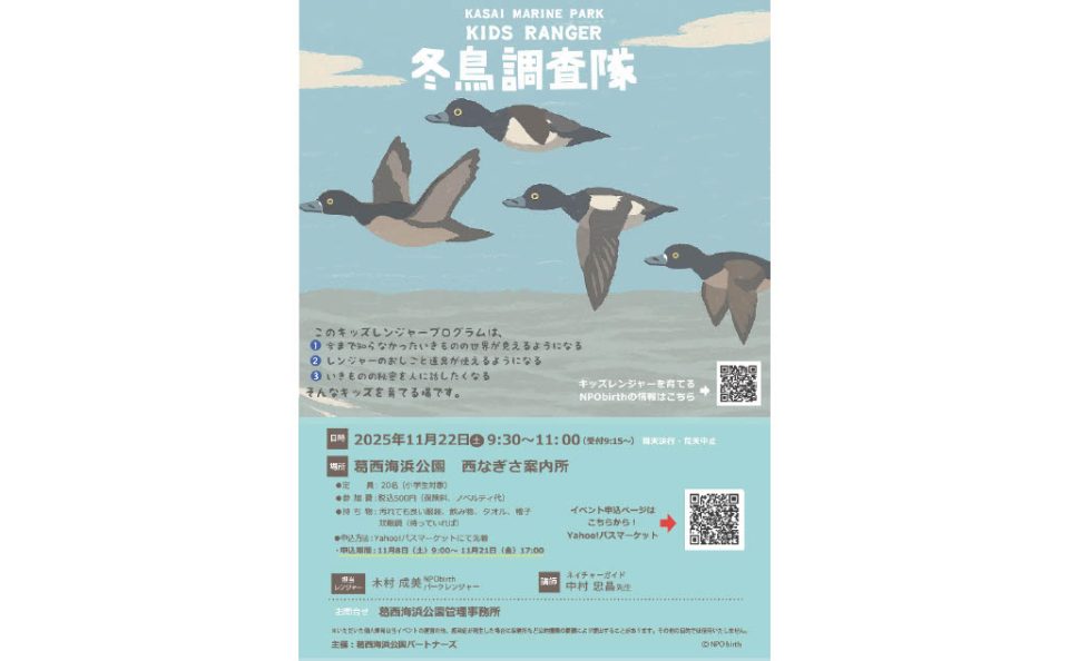 【11/8～受付開始】 かさいキッズレンジャー　冬鳥調査隊