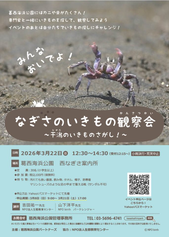 【受付中】なぎさのいきもの観察会～干潟のいきもの探し！～