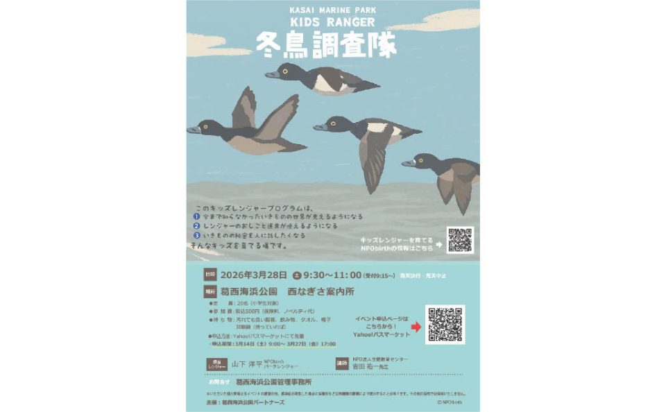 【受付中】かさいキッズレンジャー　冬鳥調査隊