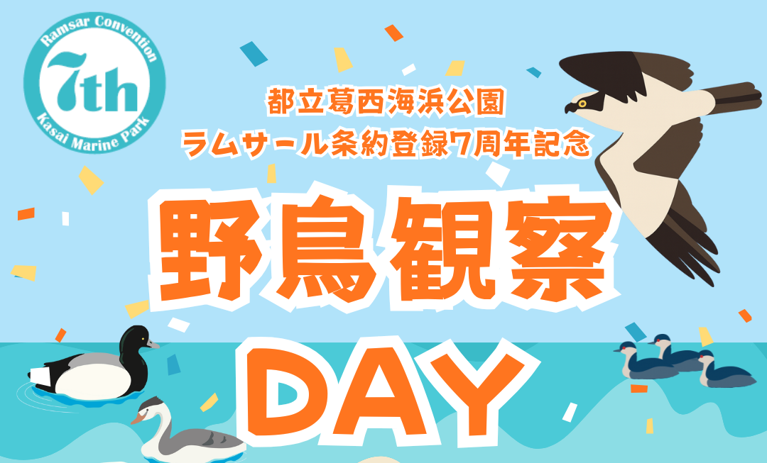 【終了】 野鳥観察DAY