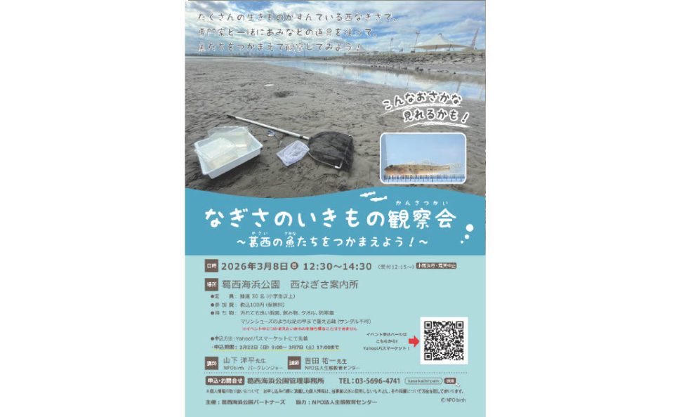 【受付中】なぎさのいきもの観察会～葛西の魚たちをつかまえよう！～